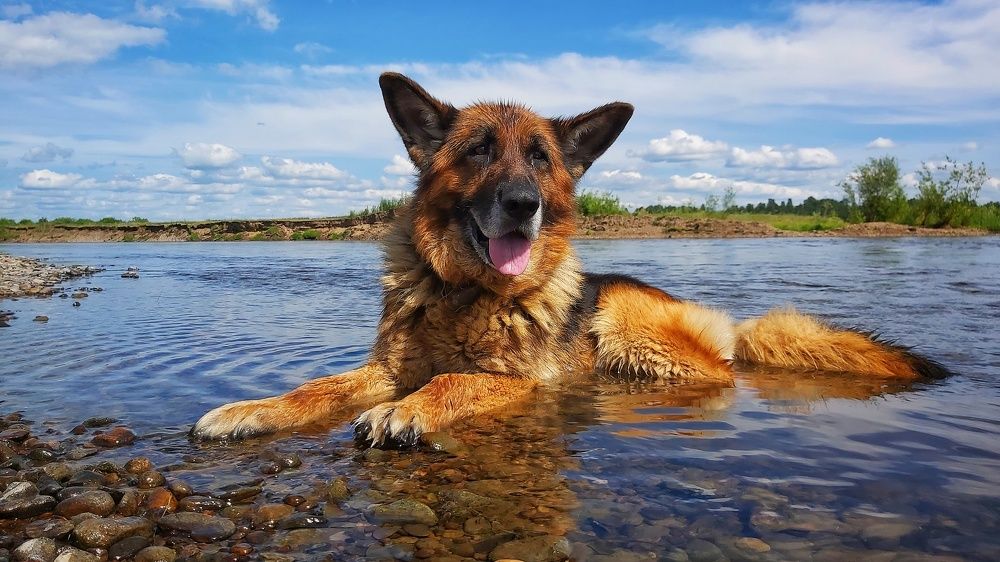 Photograph by Владимир Огородников