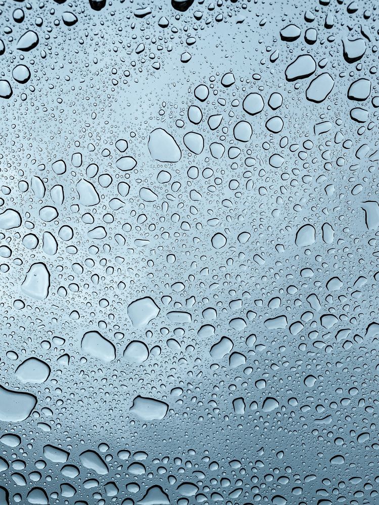 Photograph by Iryna Siamionava