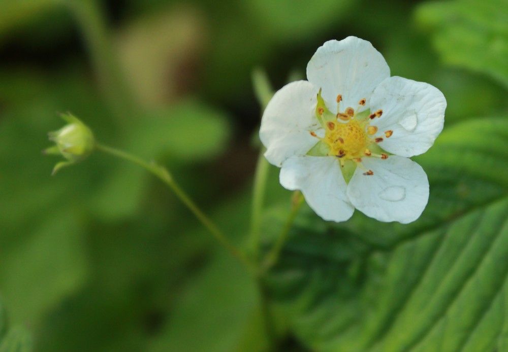 Photograph by Марина Юрченко