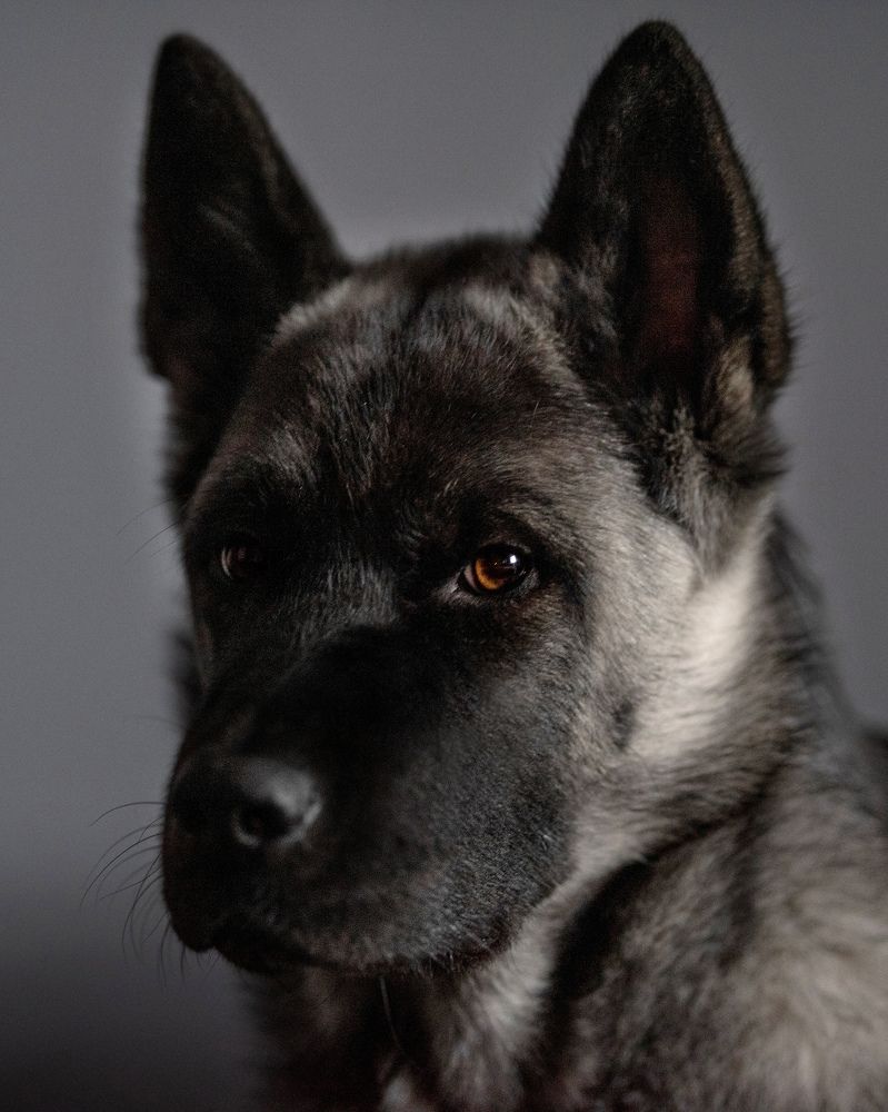 Фотография автора Mila Prophoto