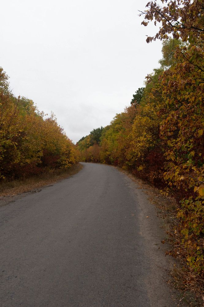 Photo #9703207