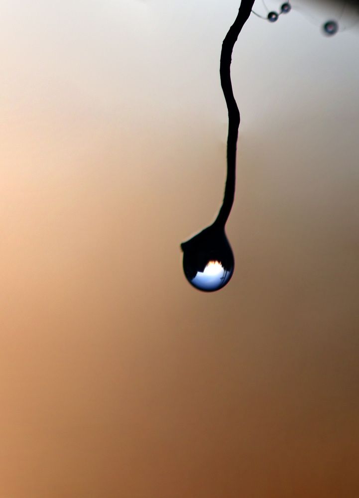 Фотография автора Mila Prophoto