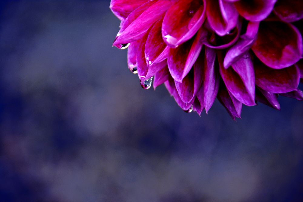 Фотография автора Mila Prophoto