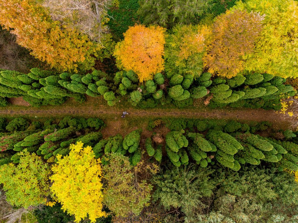 Фотография автора Богдан Михаськів