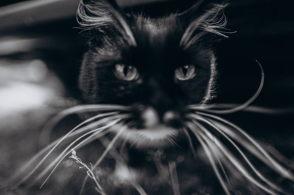 Photograph by Елена Копылова