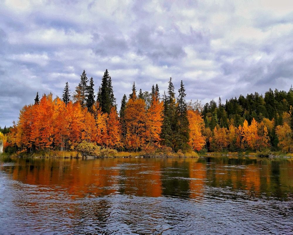 Photograph by Елена Артёменко