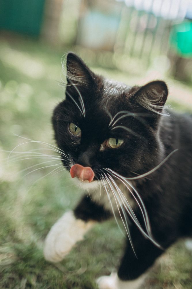 Photograph by Елена Копылова