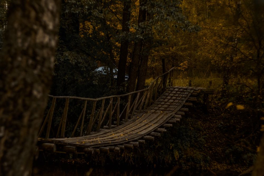 Фотография автора Юлия