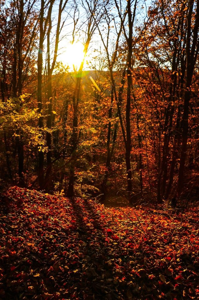 Photograph by Полина