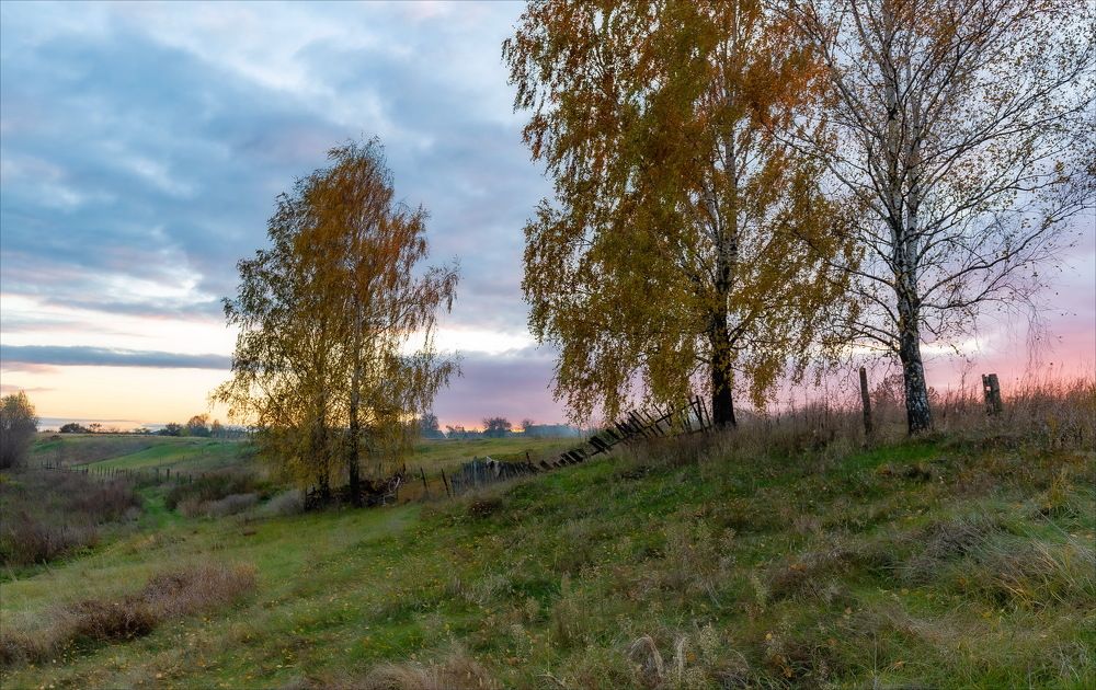 Photograph by Олег Григорьев