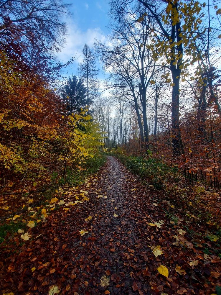 Photograph by Hossein Jafari