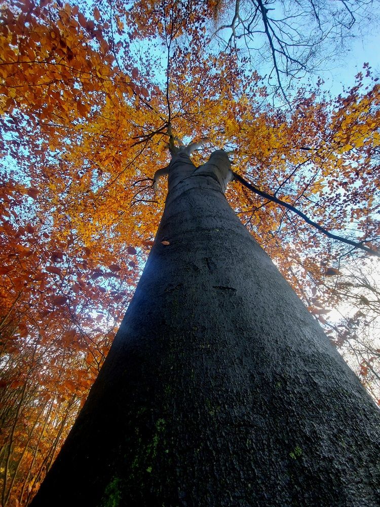 Photograph by Hossein Jafari