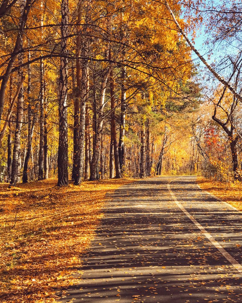 Photograph by Татьяна Волохова