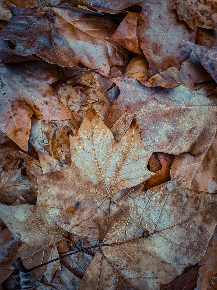 Photograph by Fábio Martins