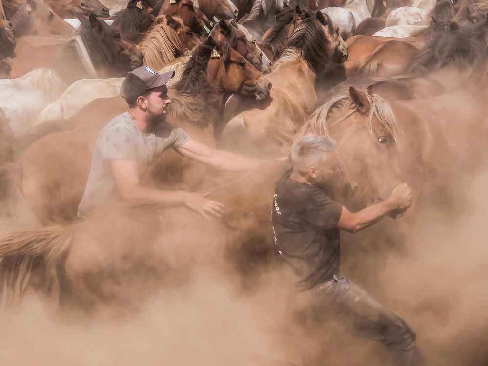 Photograph by Jose Antonio Novelle Cao