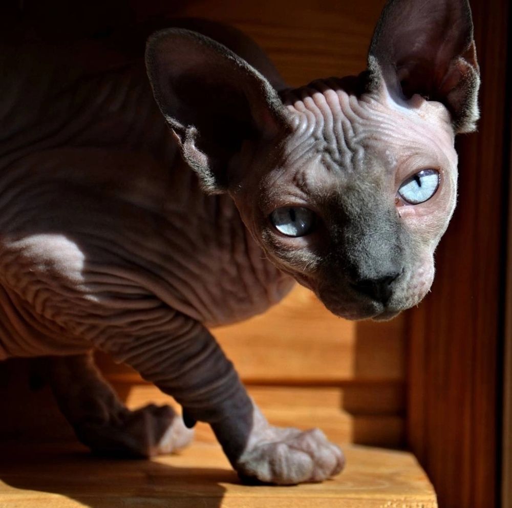 Фотография автора Mila Prophoto