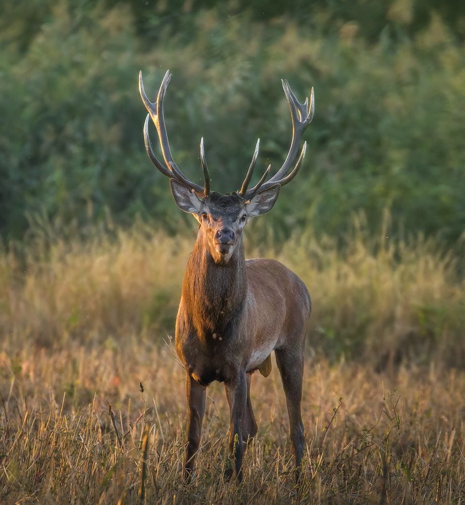 Фотография автора Sebastian Popa
