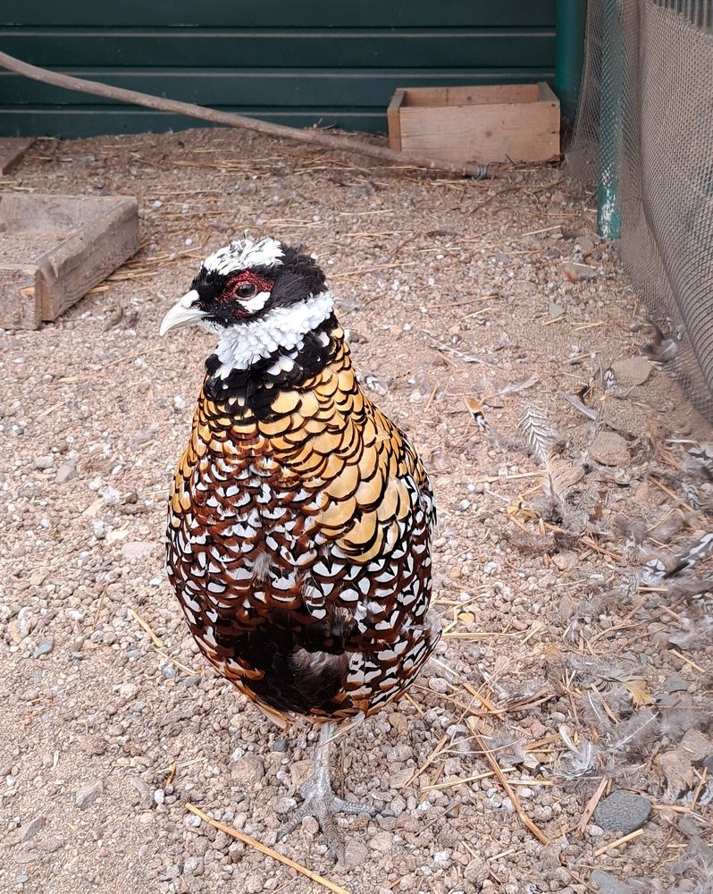 Photograph by Оксана