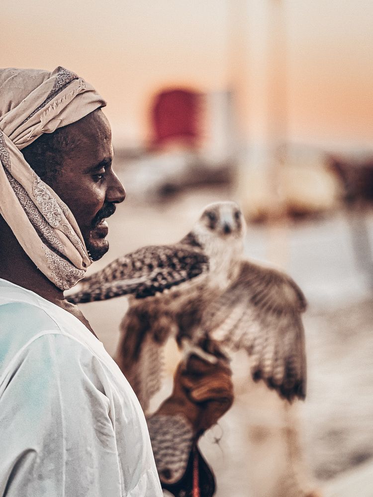 Gilded Unity: A Falcon's Embrace in Mesaieed, Doha