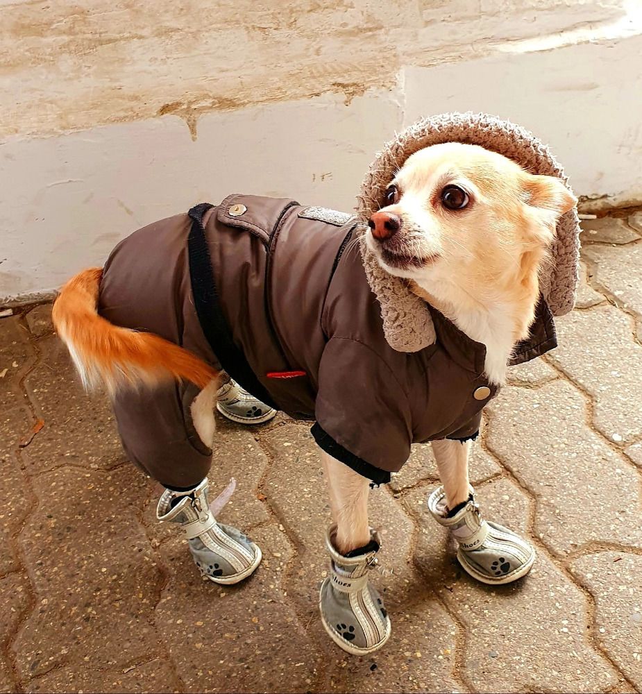 По высшему классу)