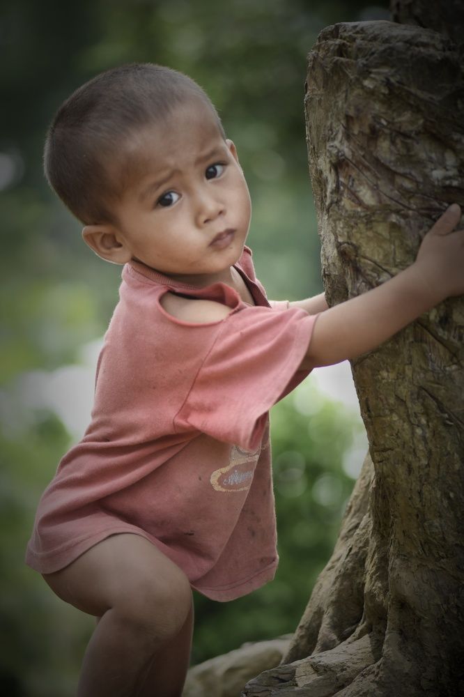 Фотография автора Dipayan Debbarma