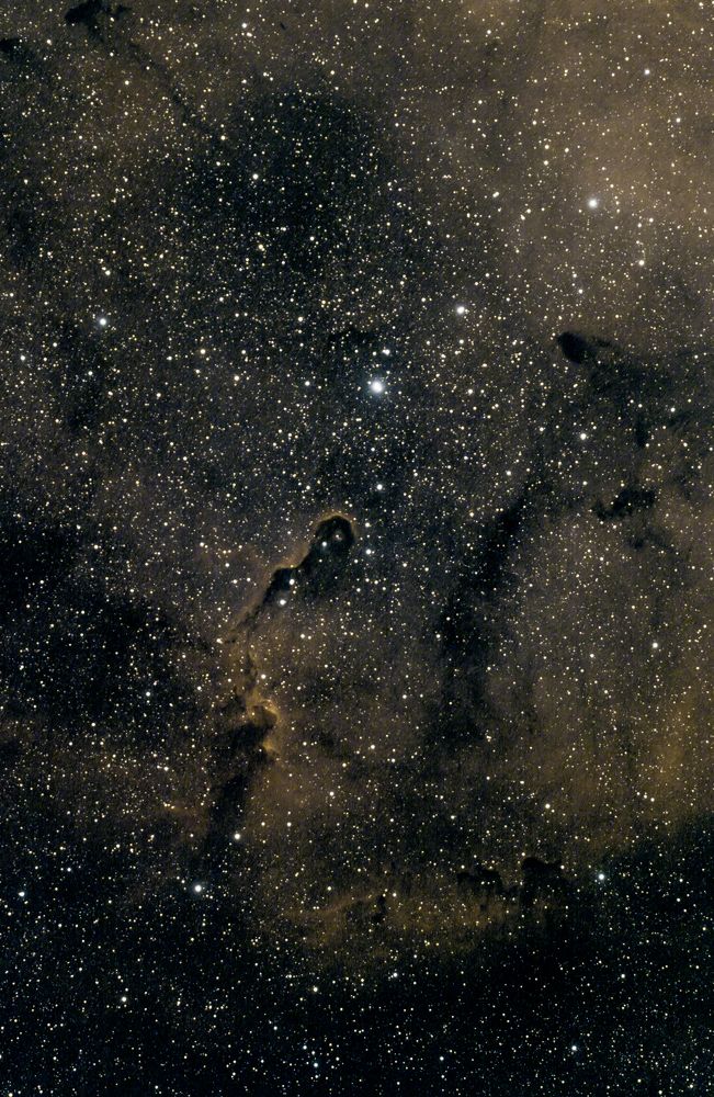 Туманность Хобот Слона (IC 1396А) в созвездии Цефей