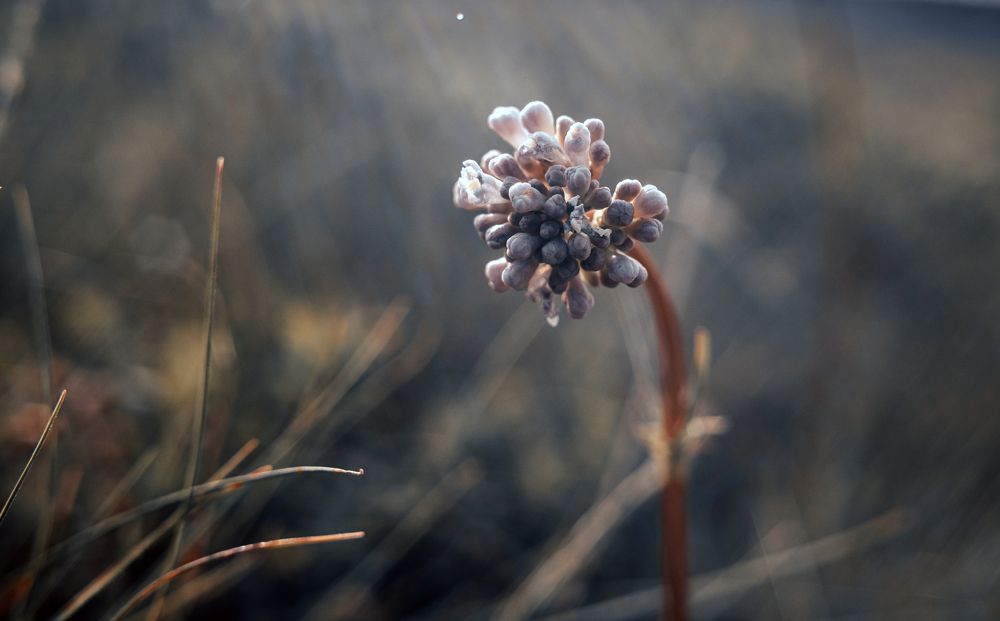 "Под нежным солнцем"
