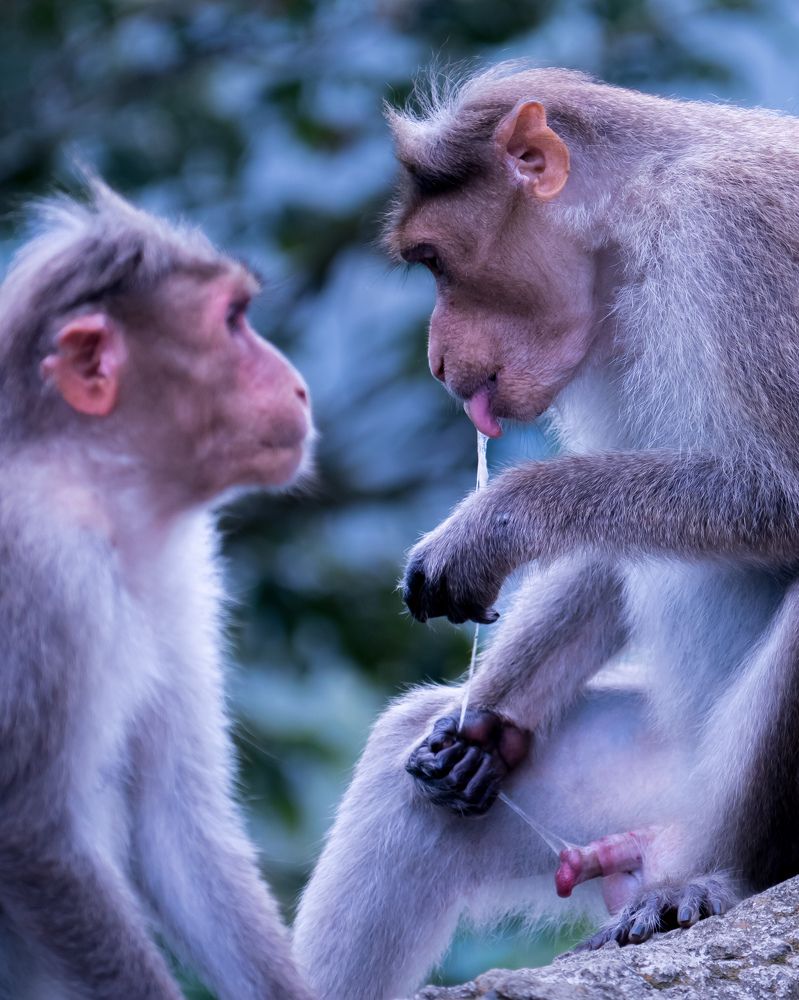 Photograph by Herald Jaison