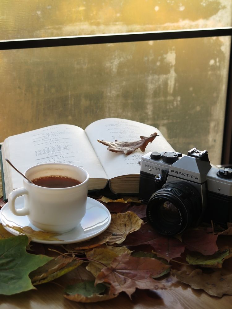 Photograph by Евгения Сапронова