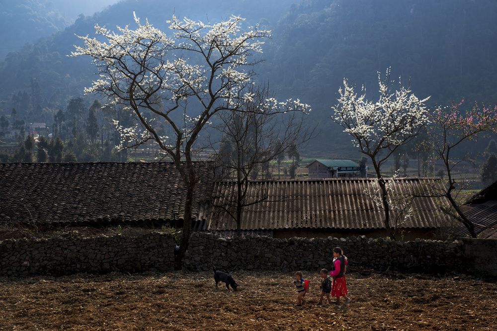 Photograph by Nguyễn Anh Tuấn