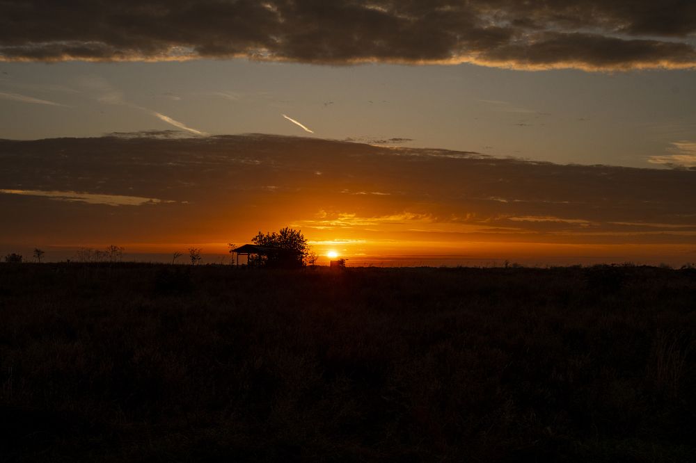 Photograph by Nikolay Dimitrov