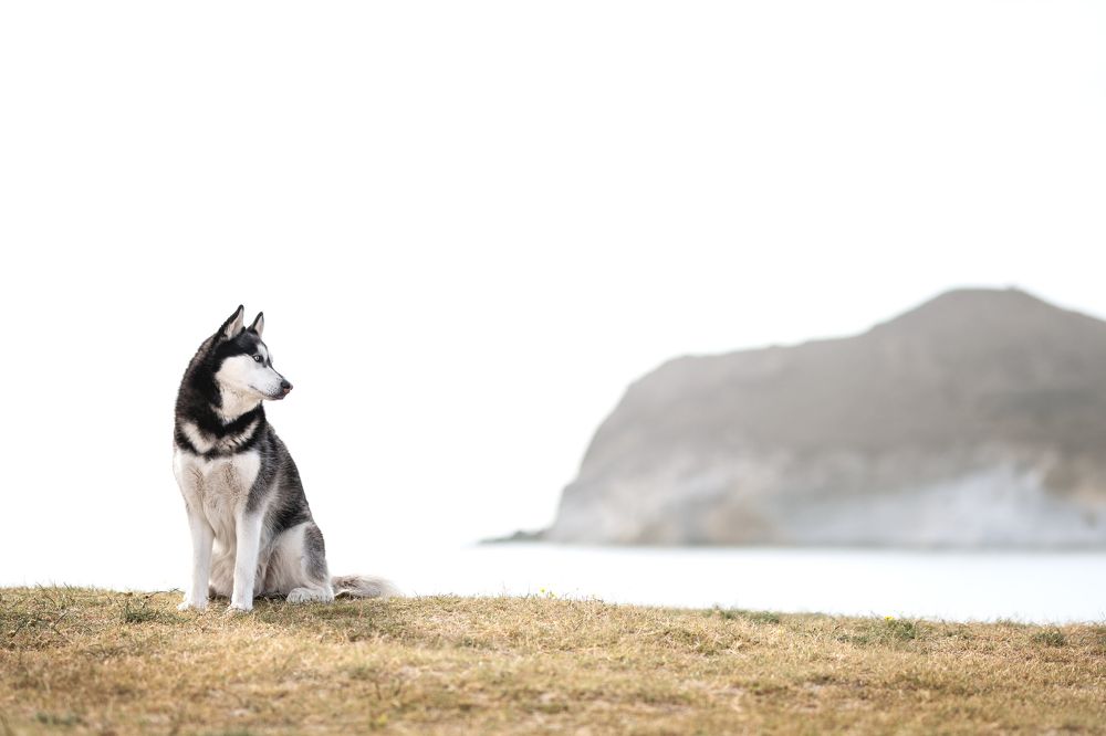 Photograph by Natalia Hidalgo