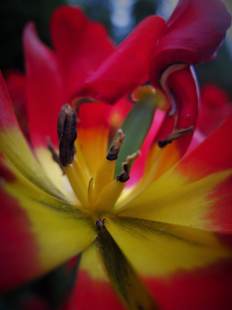 Photograph by Евгения Сапронова