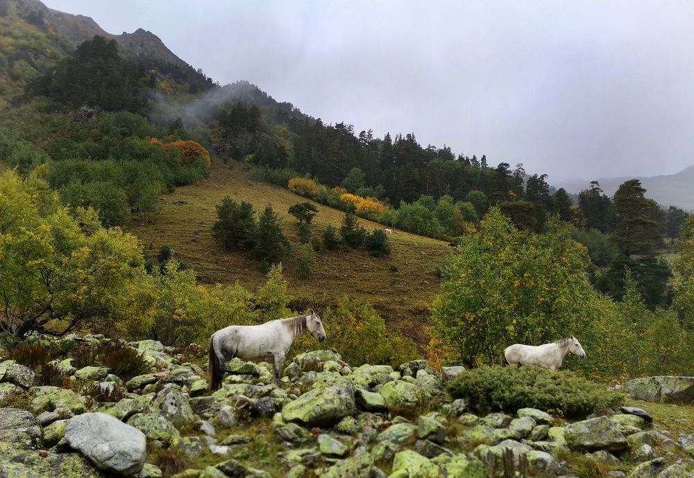 Photograph by Юлия Зубкова