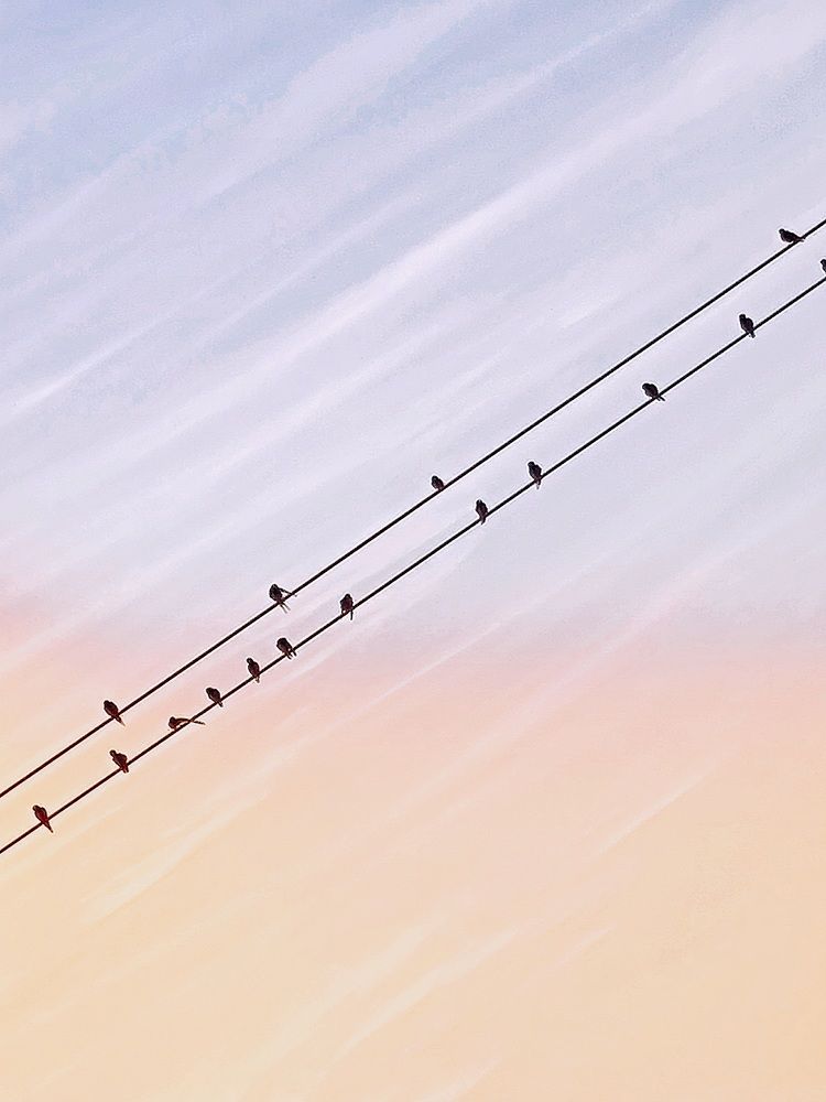 Photograph by Hanna Bourne