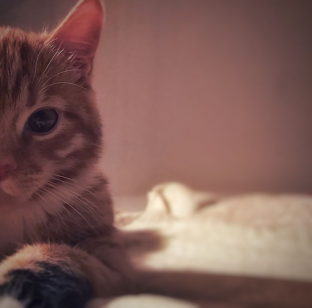 Photograph by Владимир Огородников