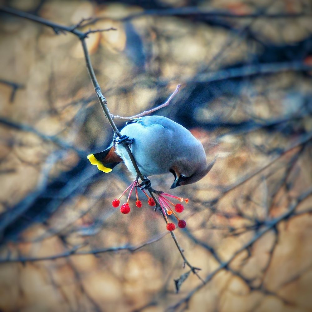 Photograph by Владимир Огородников