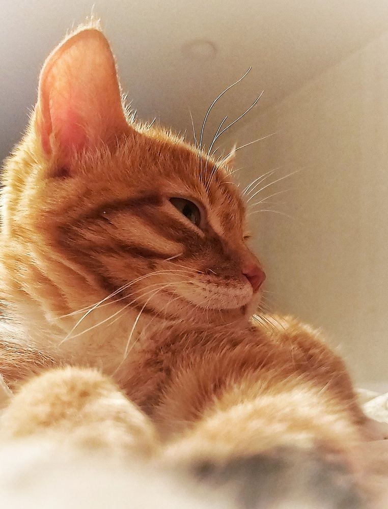 Photograph by Владимир Огородников