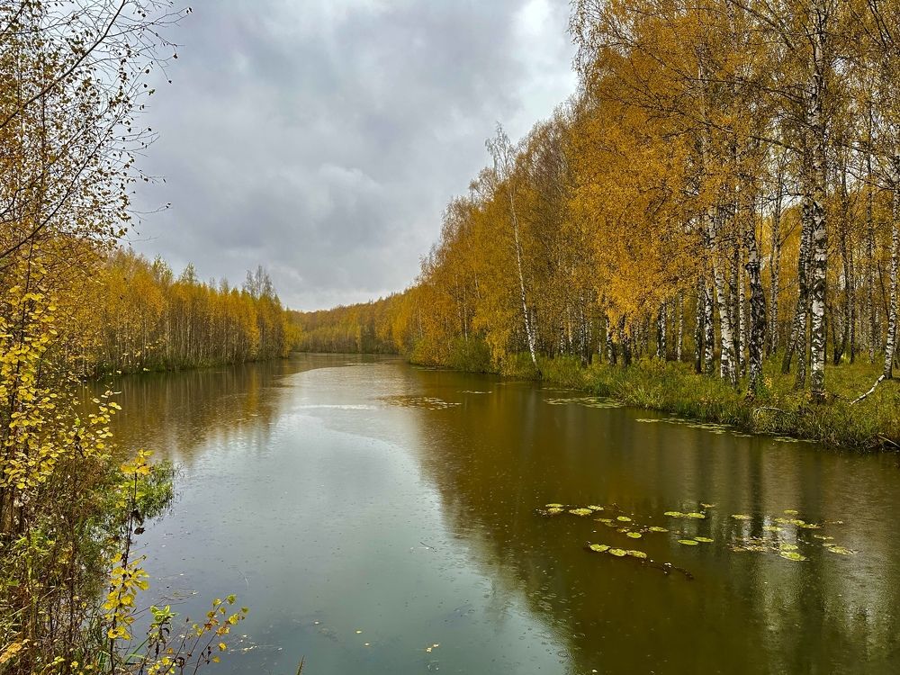 Фотография автора Юрий Крылов