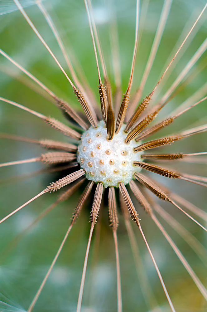 Photograph by Роман Приходько