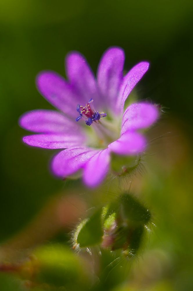 Photograph by Роман Приходько