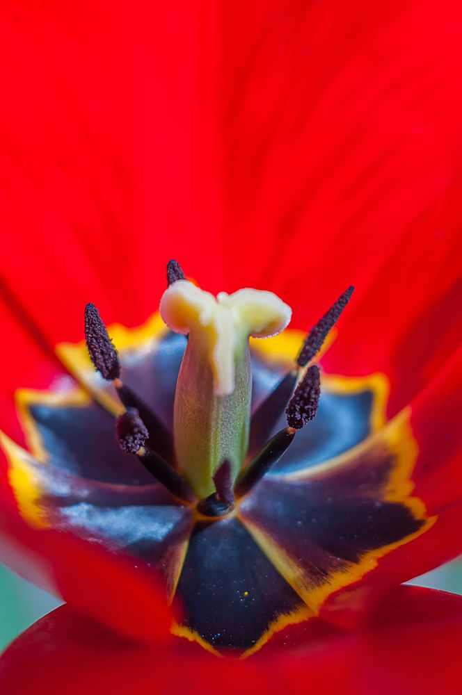 Photograph by Роман Приходько