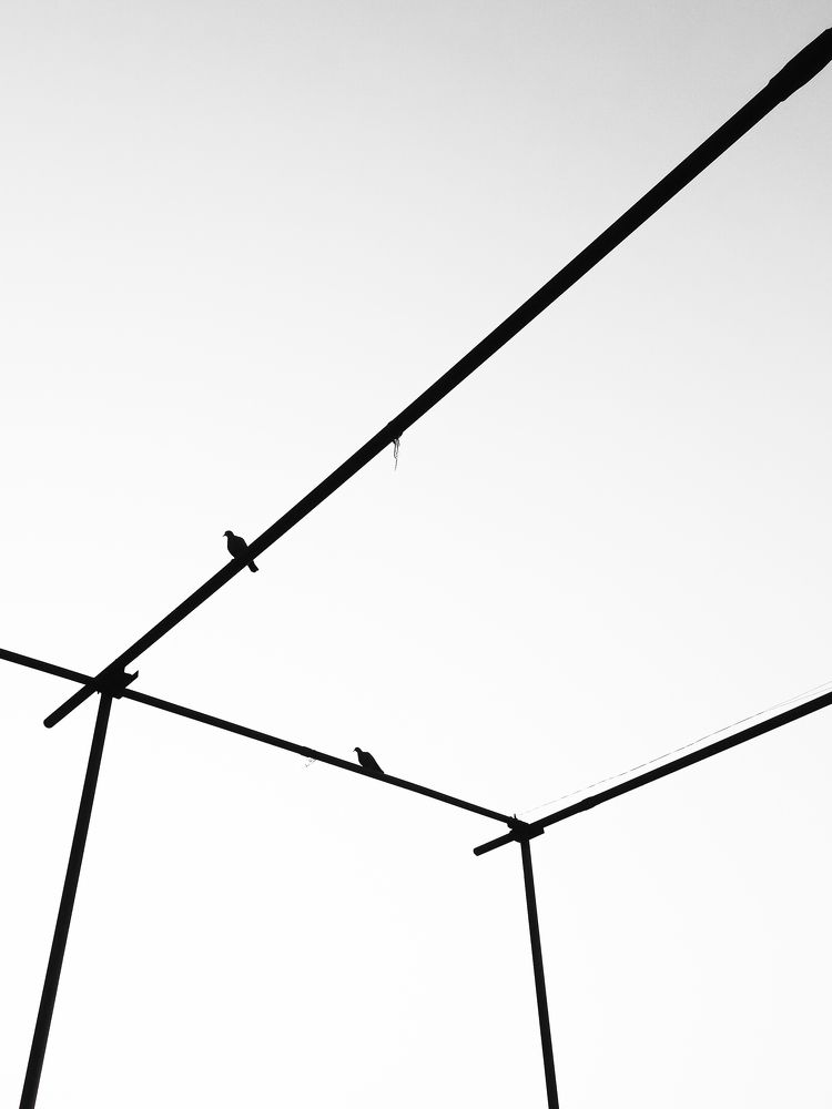 Photograph by Rushikesh Udawant