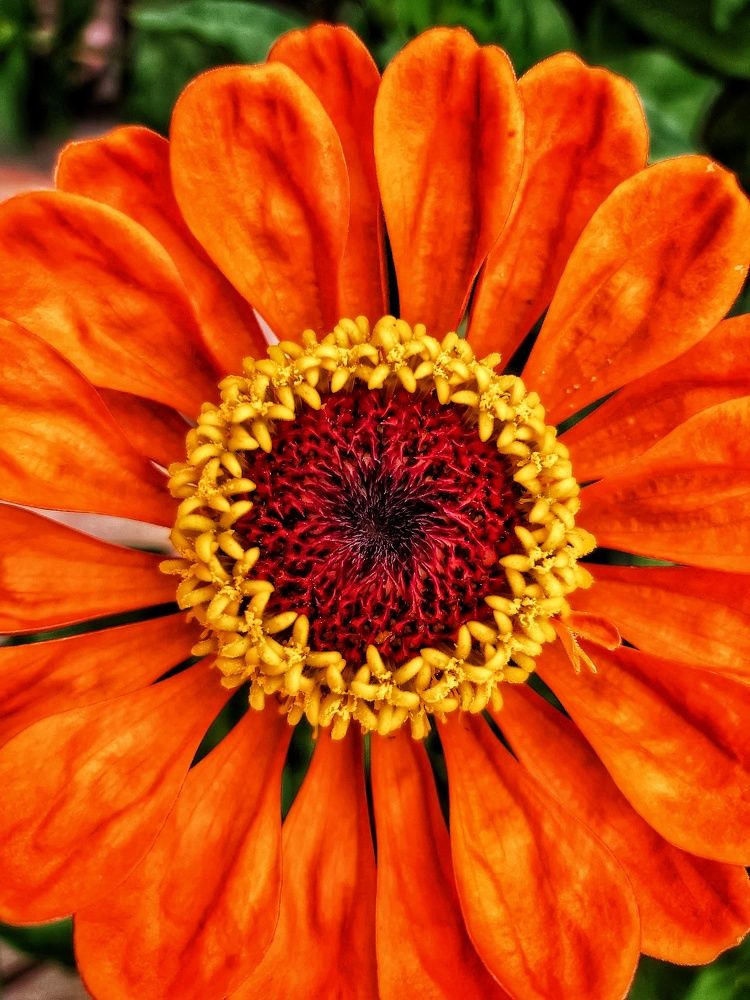 Photograph by Владимир Огородников