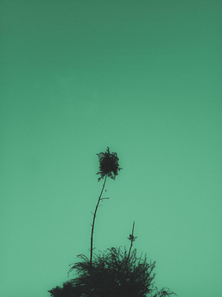 Photograph by Rushikesh Udawant