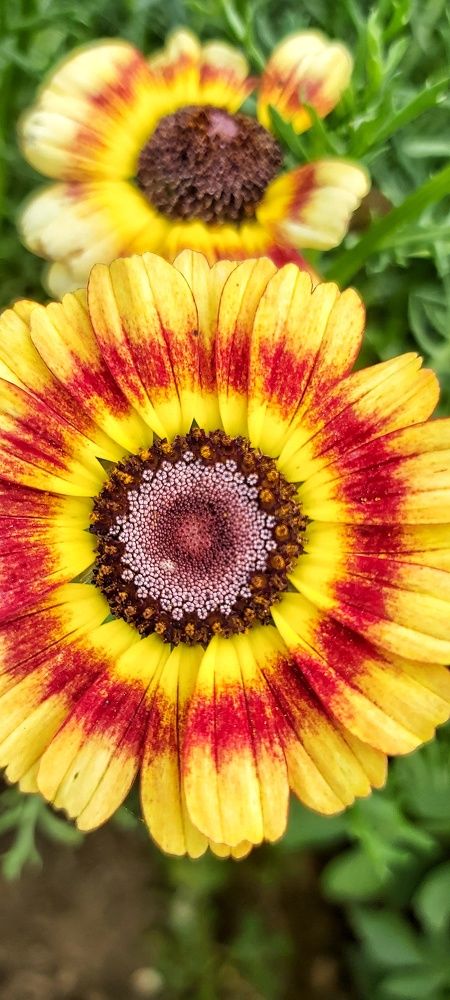 Photograph by Владимир Огородников