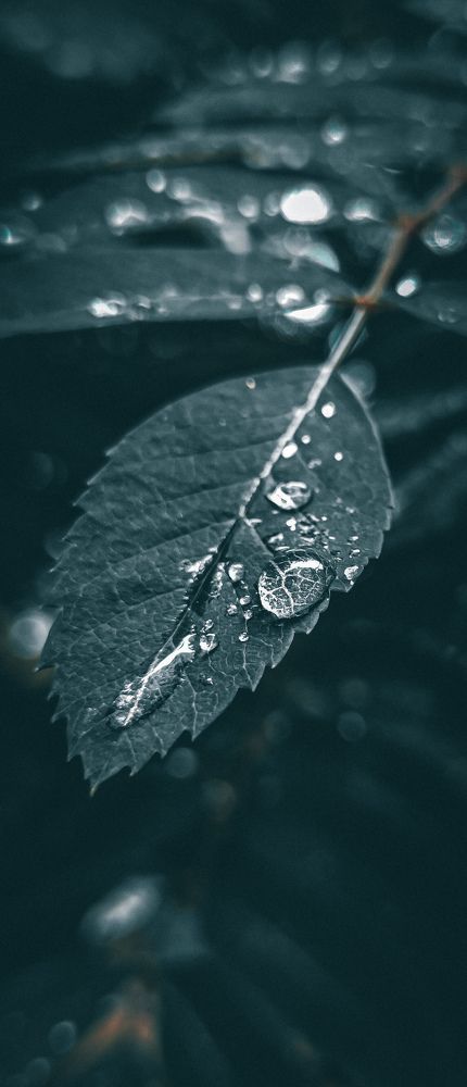 Фотография автора Dmitry Pisarev