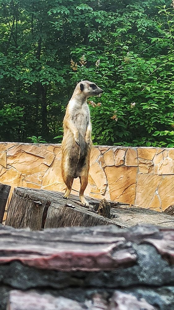 Photograph by Владимир Огородников