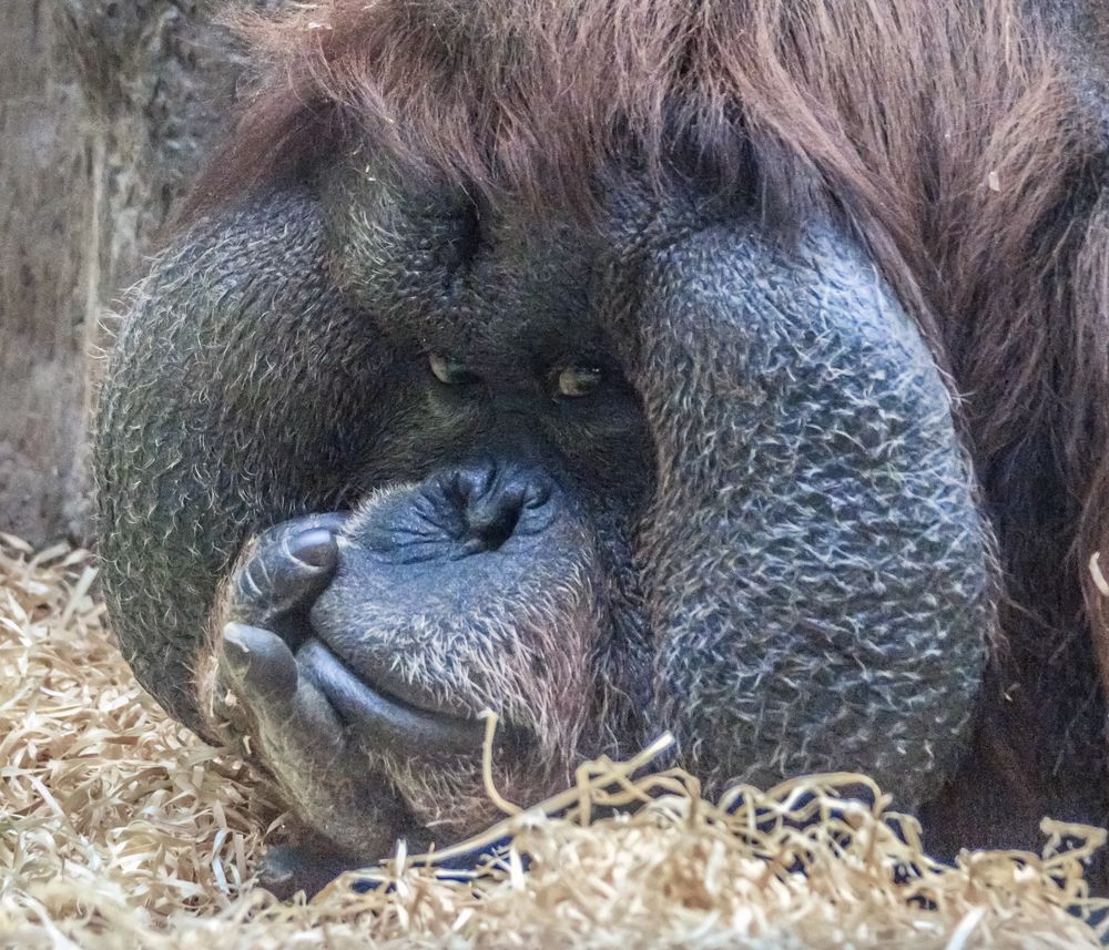 Photograph by Сергей Алексеев