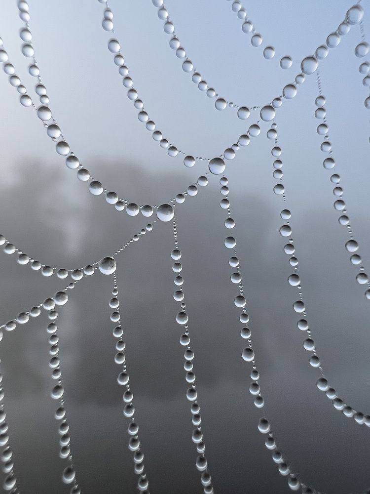 Photograph by Дмитрий Костяков